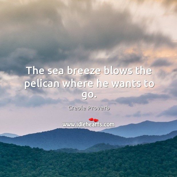 The sea breeze blows the pelican where he wants to go. Creole Proverbs Image