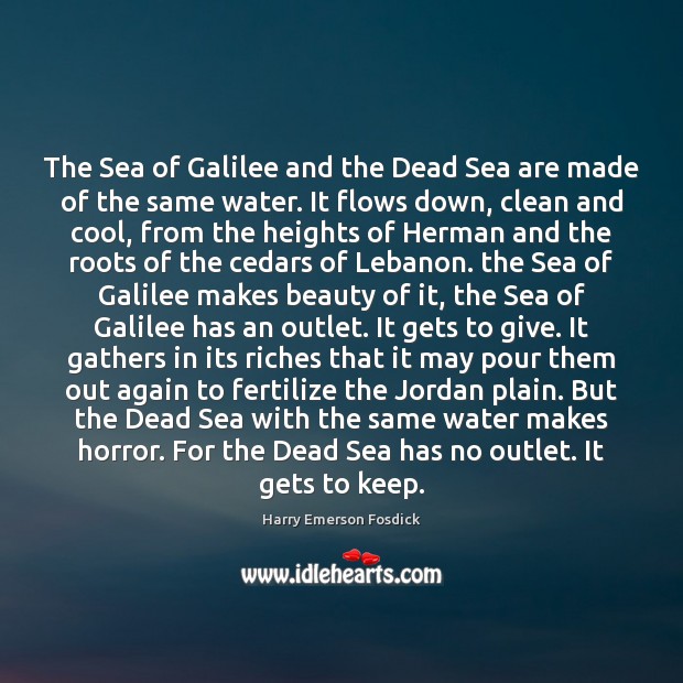 The Sea of Galilee and the Dead Sea are made of the Harry Emerson Fosdick Picture Quote