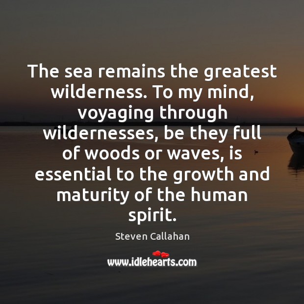 The sea remains the greatest wilderness. To my mind, voyaging through wildernesses, Steven Callahan Picture Quote