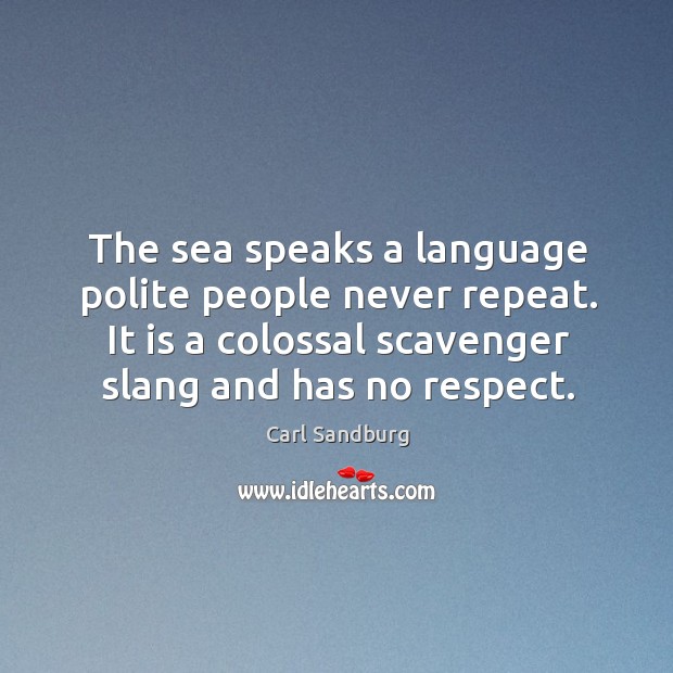 The sea speaks a language polite people never repeat. It is a colossal scavenger slang and has no respect. Carl Sandburg Picture Quote