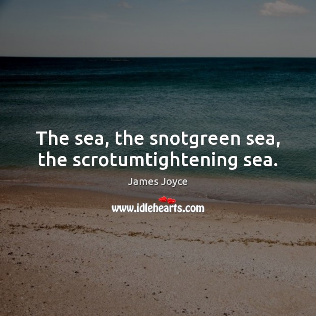 The sea, the snotgreen sea, the scrotumtightening sea. James Joyce Picture Quote