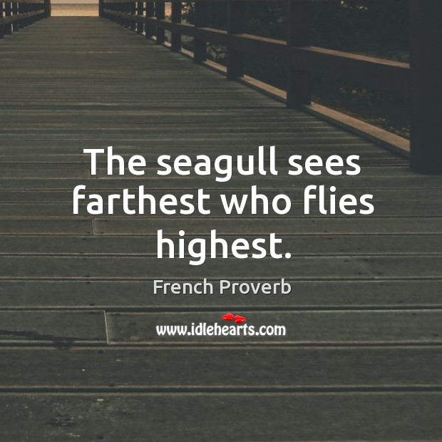 The seagull sees farthest who flies highest. French Proverbs Image