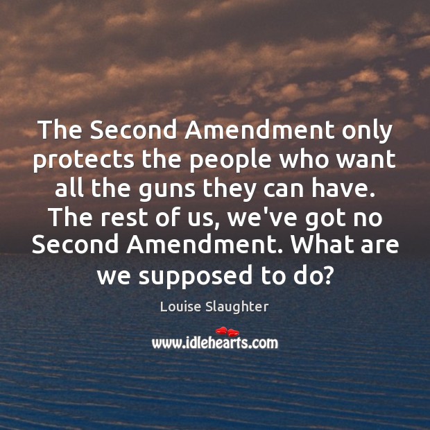 The Second Amendment only protects the people who want all the guns Louise Slaughter Picture Quote