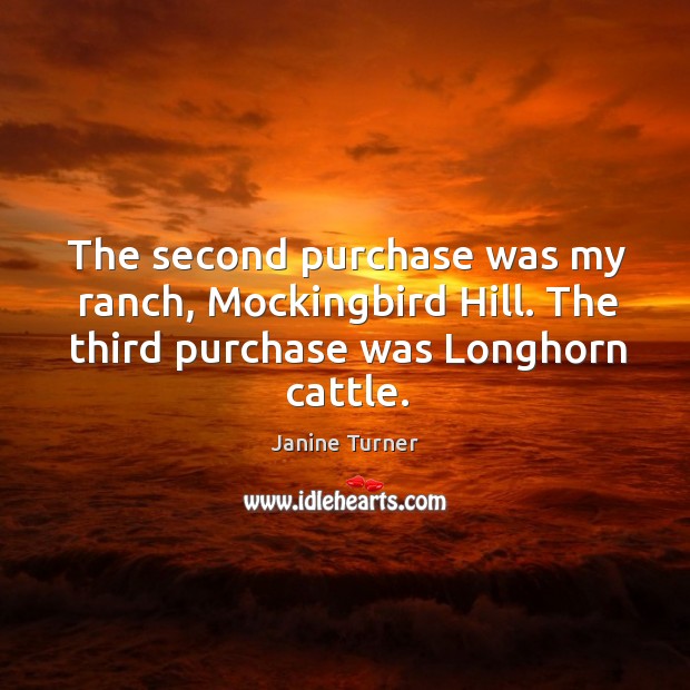 The second purchase was my ranch, mockingbird hill. The third purchase was longhorn cattle. Janine Turner Picture Quote