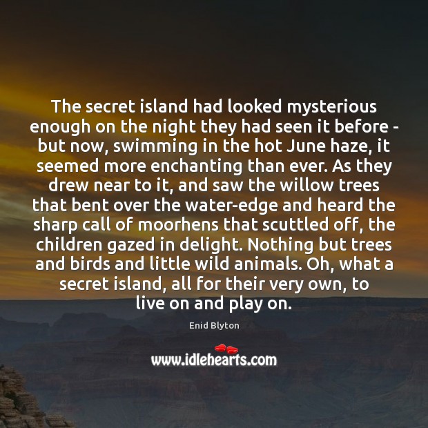 The secret island had looked mysterious enough on the night they had Enid Blyton Picture Quote