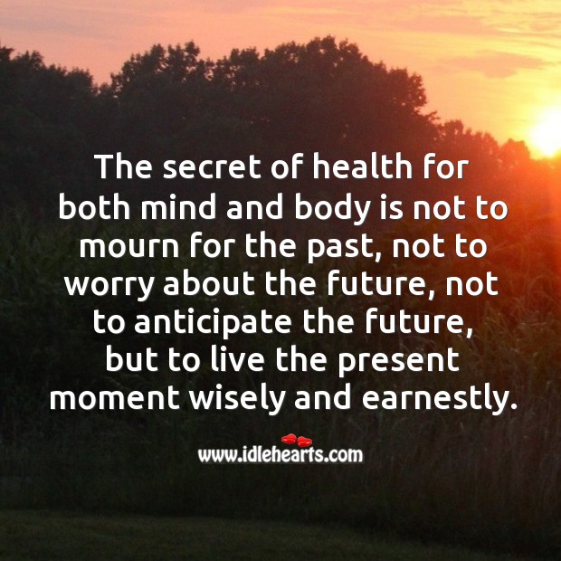 The secret of health for both mind and body is not to mourn for the past, not to worry about the future Image
