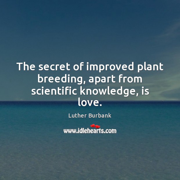 The secret of improved plant breeding, apart from scientific knowledge, is love. Luther Burbank Picture Quote