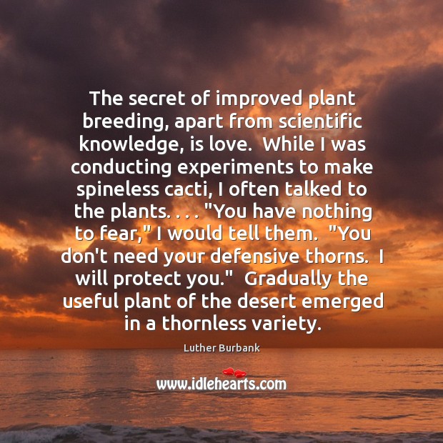 The secret of improved plant breeding, apart from scientific knowledge, is love. Image