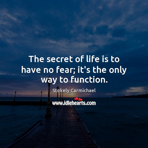 The secret of life is to have no fear; it’s the only way to function. Image