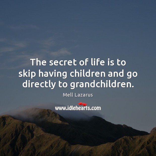 The secret of life is to skip having children and go directly to grandchildren. 