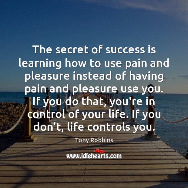 The secret of success is learning how to use pain and pleasure Tony Robbins Picture Quote