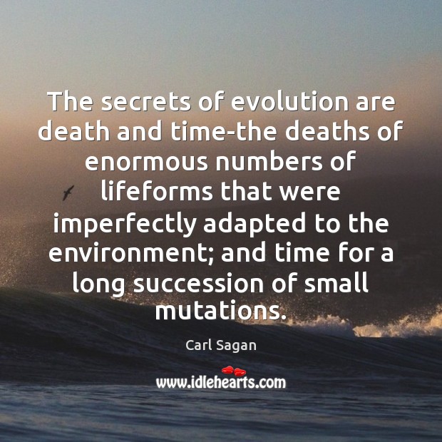 The secrets of evolution are death and time-the deaths of enormous numbers Carl Sagan Picture Quote