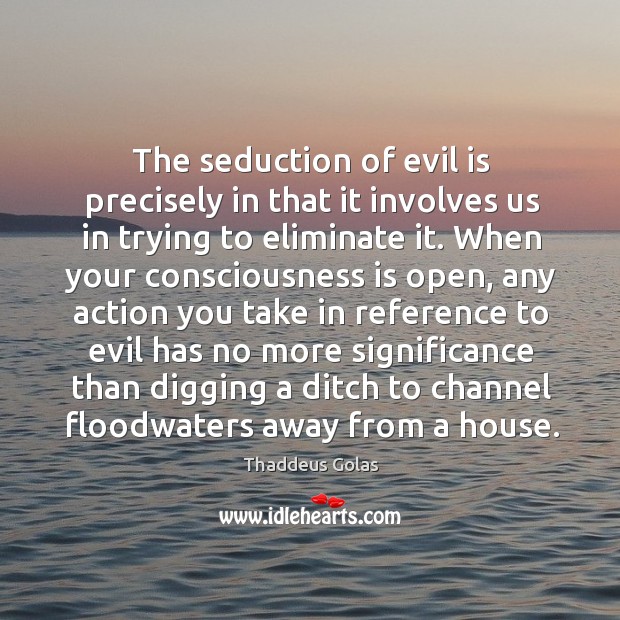 The seduction of evil is precisely in that it involves us in Thaddeus Golas Picture Quote