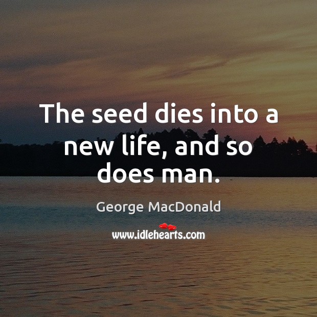 The seed dies into a new life, and so does man. George MacDonald Picture Quote