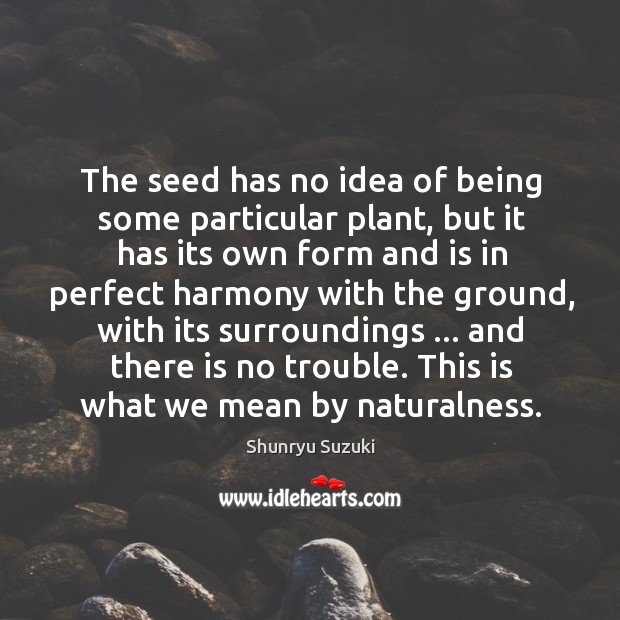 The seed has no idea of being some particular plant, but it Shunryu Suzuki Picture Quote