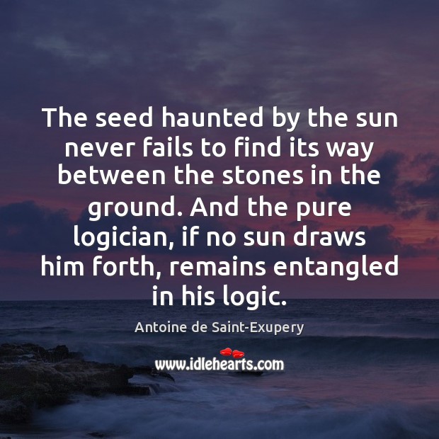 The seed haunted by the sun never fails to find its way Antoine de Saint-Exupery Picture Quote