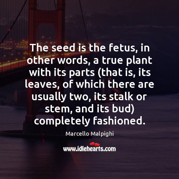 The seed is the fetus, in other words, a true plant with Marcello Malpighi Picture Quote