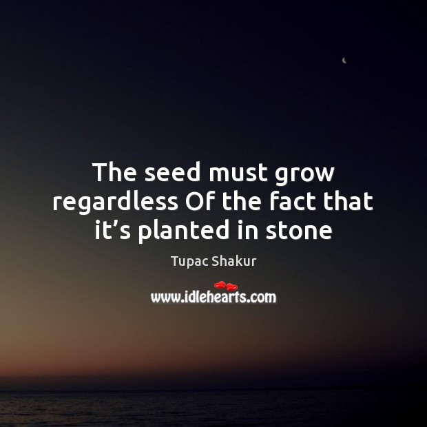 The seed must grow regardless Of the fact that it’s planted in stone Tupac Shakur Picture Quote