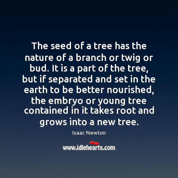 The seed of a tree has the nature of a branch or Isaac Newton Picture Quote