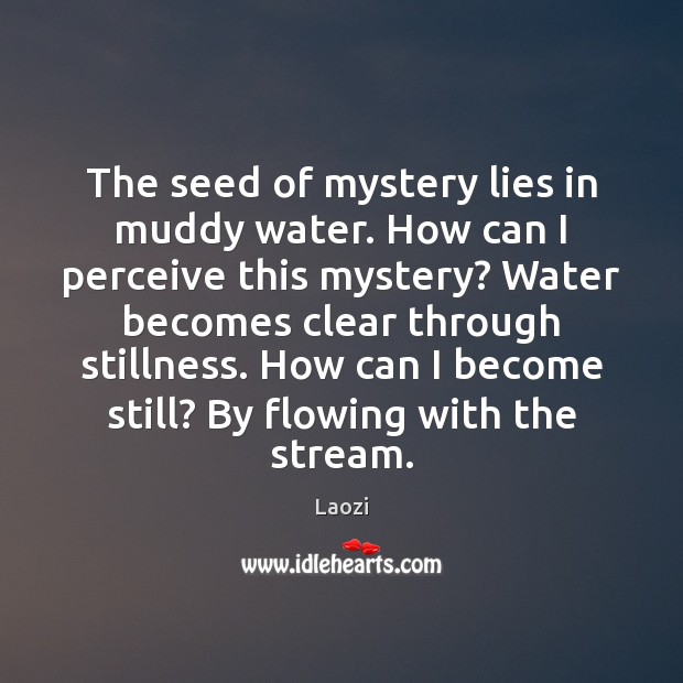 The seed of mystery lies in muddy water. How can I perceive Laozi Picture Quote