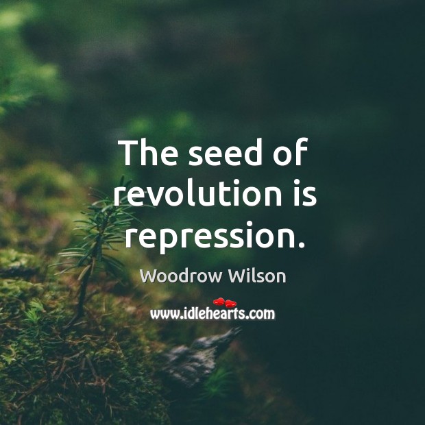 The seed of revolution is repression. Woodrow Wilson Picture Quote