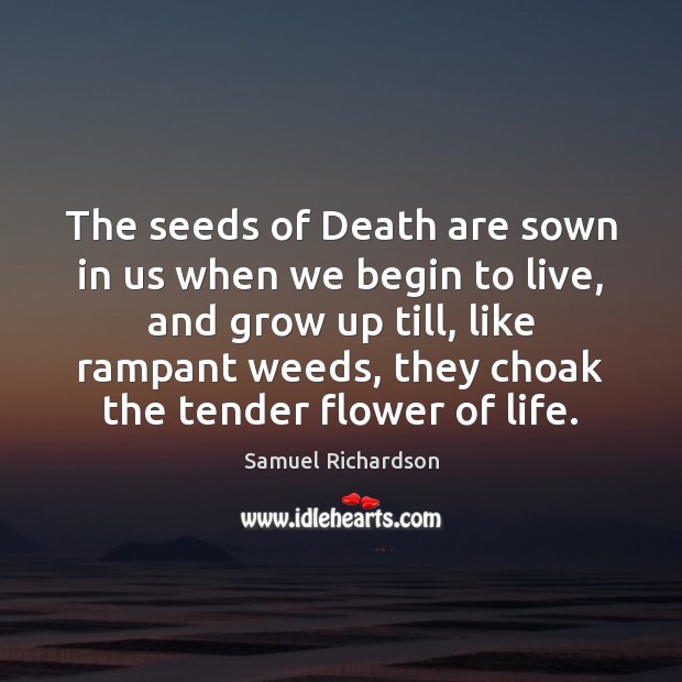 The seeds of Death are sown in us when we begin to Samuel Richardson Picture Quote