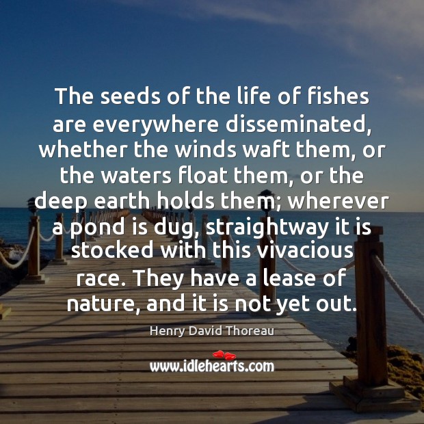 The seeds of the life of fishes are everywhere disseminated, whether the Henry David Thoreau Picture Quote