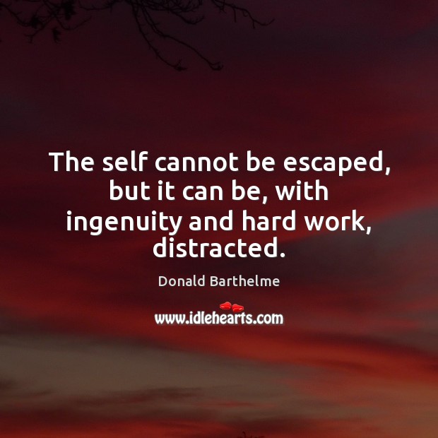 The self cannot be escaped, but it can be, with ingenuity and hard work, distracted. 