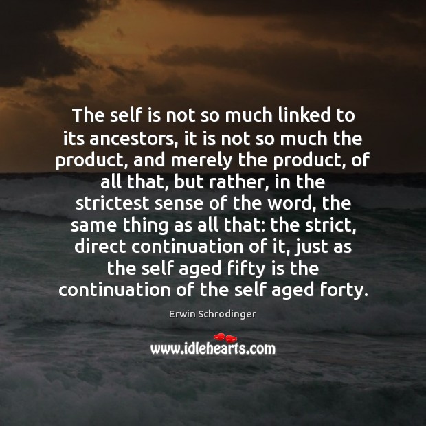 The self is not so much linked to its ancestors, it is Erwin Schrodinger Picture Quote