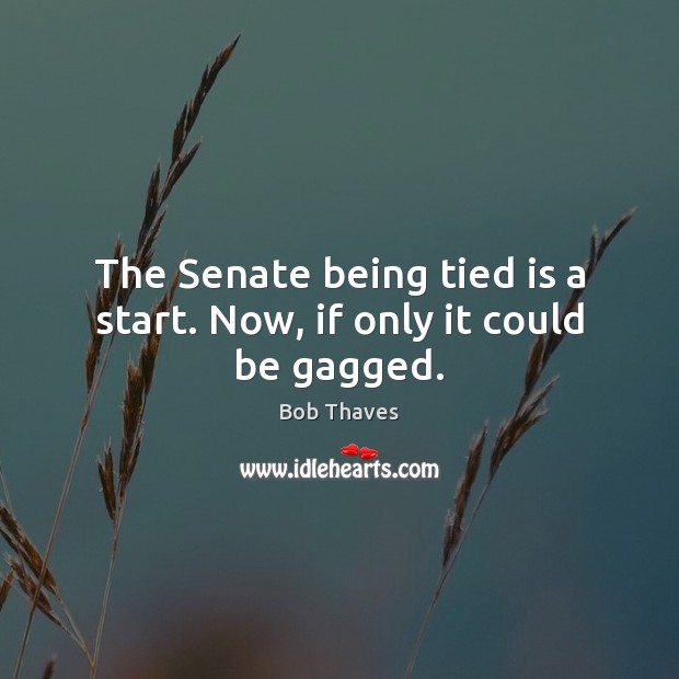 The Senate being tied is a start. Now, if only it could be gagged. Image