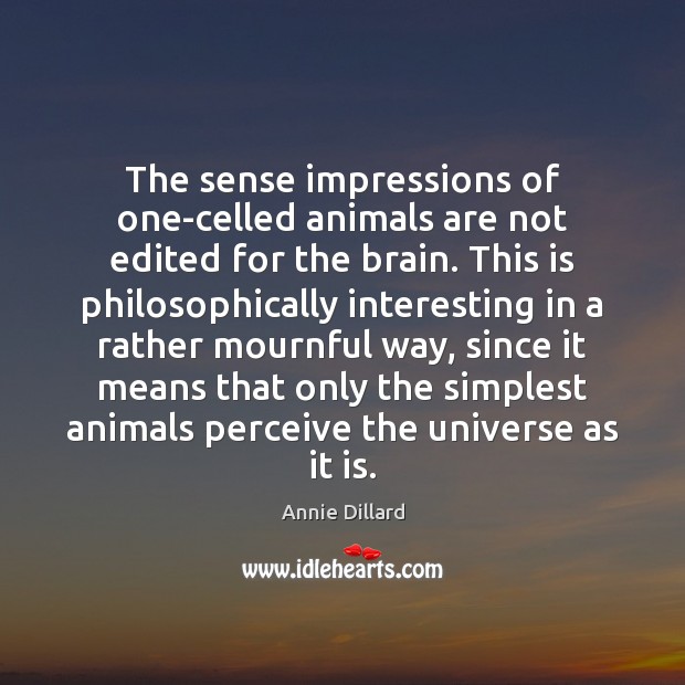 The sense impressions of one-celled animals are not edited for the brain. Annie Dillard Picture Quote
