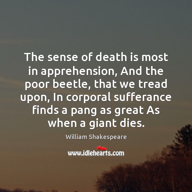 The sense of death is most in apprehension, And the poor beetle, Death Quotes Image