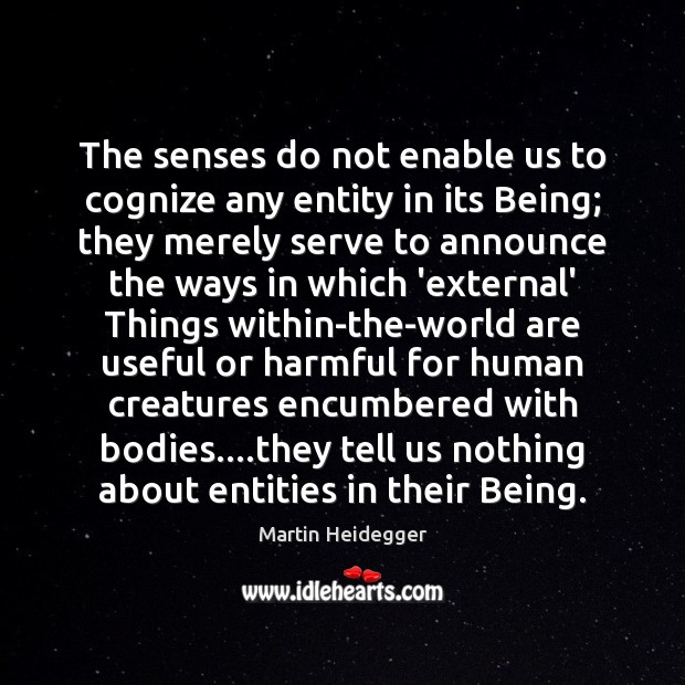 The senses do not enable us to cognize any entity in its Martin Heidegger Picture Quote