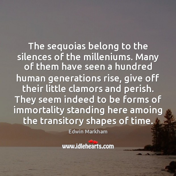 The sequoias belong to the silences of the milleniums. Many of them Image