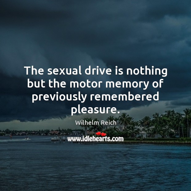 The sexual drive is nothing but the motor memory of previously remembered pleasure. Wilhelm Reich Picture Quote