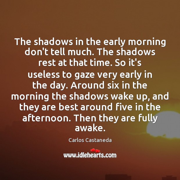 The shadows in the early morning don’t tell much. The shadows rest Carlos Castaneda Picture Quote