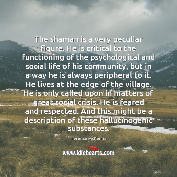 The shaman is a very peculiar figure. He is critical to the Terence McKenna Picture Quote