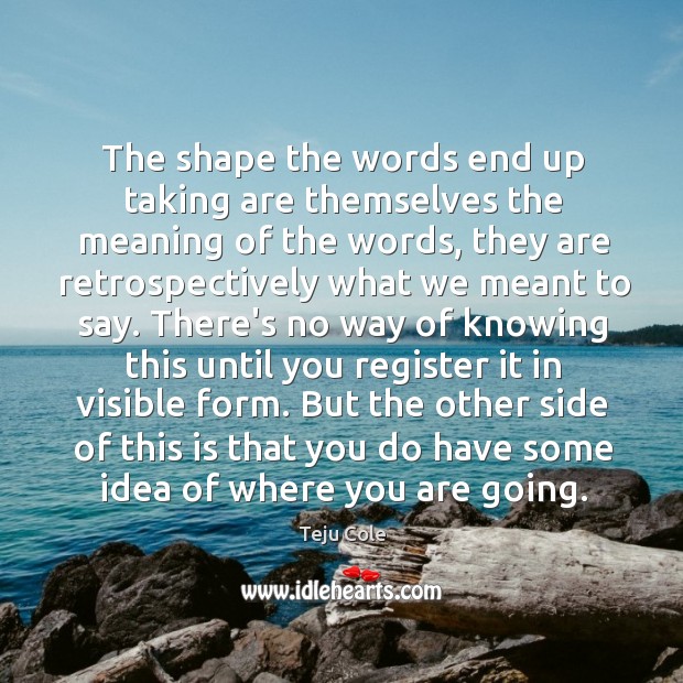 The shape the words end up taking are themselves the meaning of Teju Cole Picture Quote