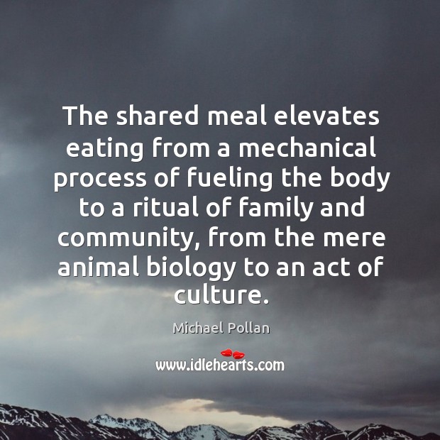 The shared meal elevates eating from a mechanical process of fueling the Image