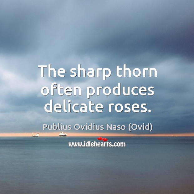 The sharp thorn often produces delicate roses. Publius Ovidius Naso (Ovid) Picture Quote