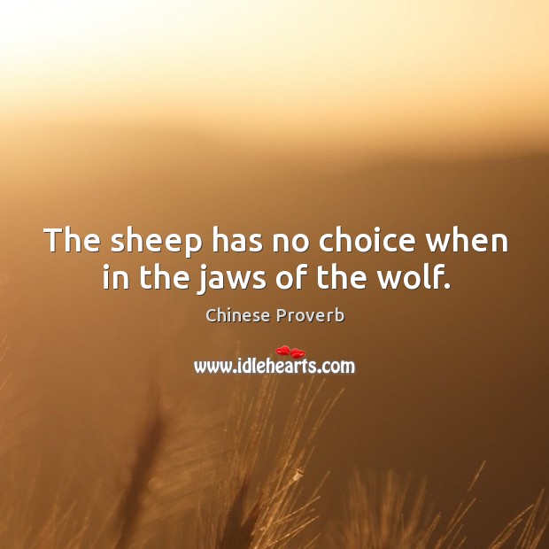 The sheep has no choice when in the jaws of the wolf. Chinese Proverbs Image
