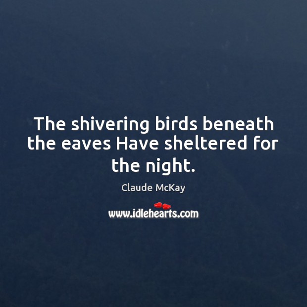 The shivering birds beneath the eaves Have sheltered for the night. Claude McKay Picture Quote