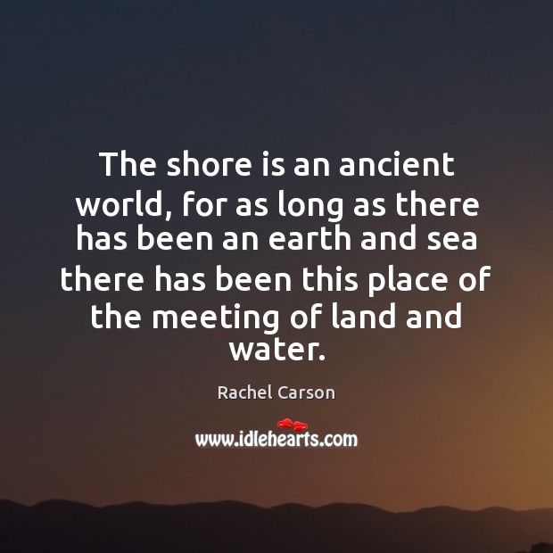 The shore is an ancient world, for as long as there has Rachel Carson Picture Quote