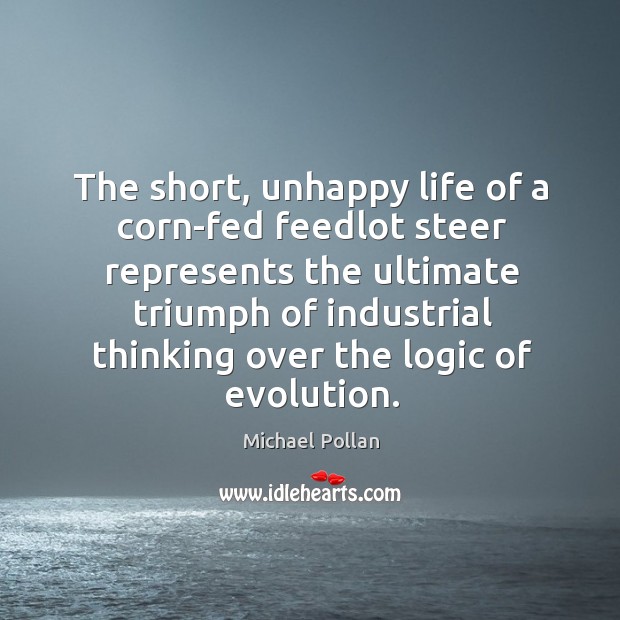 The short, unhappy life of a corn-fed feedlot steer represents the ultimate Michael Pollan Picture Quote
