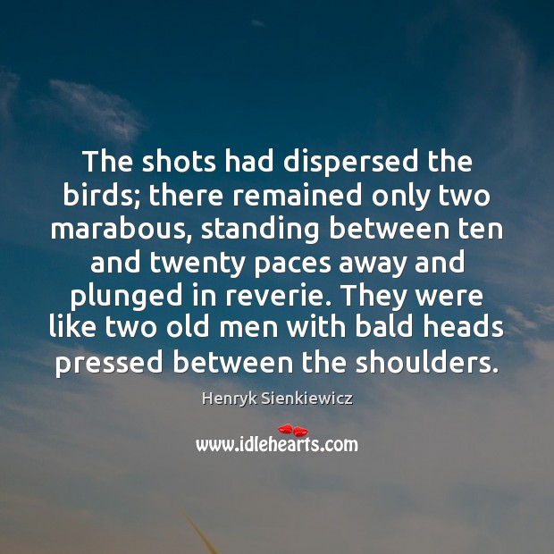 The shots had dispersed the birds; there remained only two marabous, standing Henryk Sienkiewicz Picture Quote