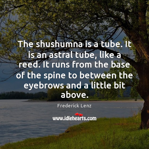 The shushumna is a tube. It is an astral tube, like a Frederick Lenz Picture Quote