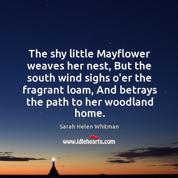 The shy little Mayflower weaves her nest, But the south wind sighs Image