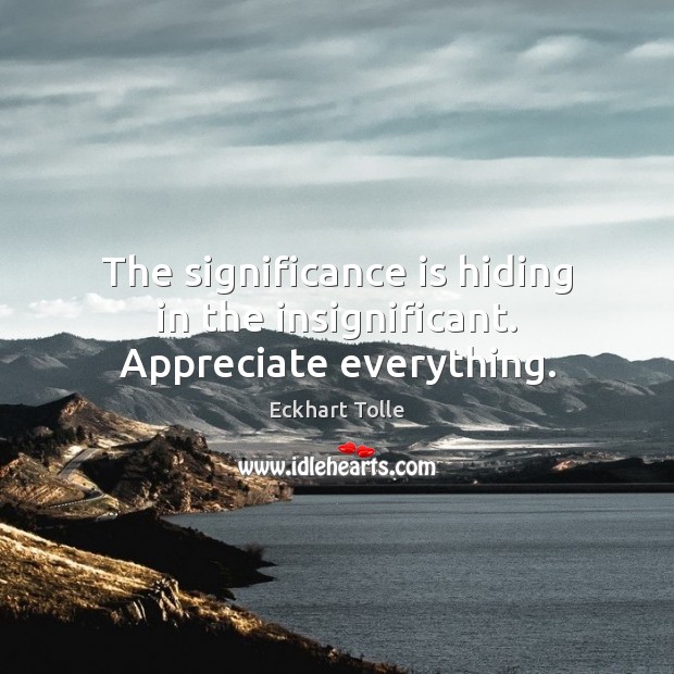 The significance is hiding in the insignificant. Appreciate everything. Eckhart Tolle Picture Quote