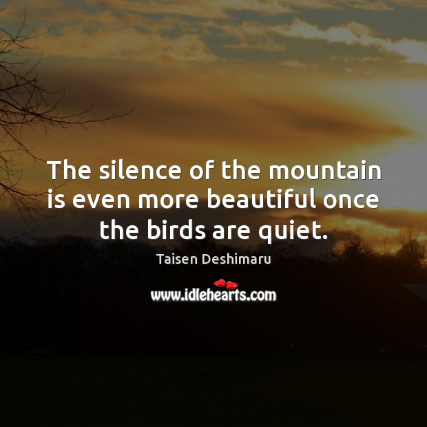 The silence of the mountain is even more beautiful once the birds are quiet. Image