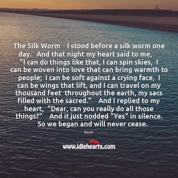 The Silk Worm    I stood before a silk worm one day.   And Rumi Picture Quote